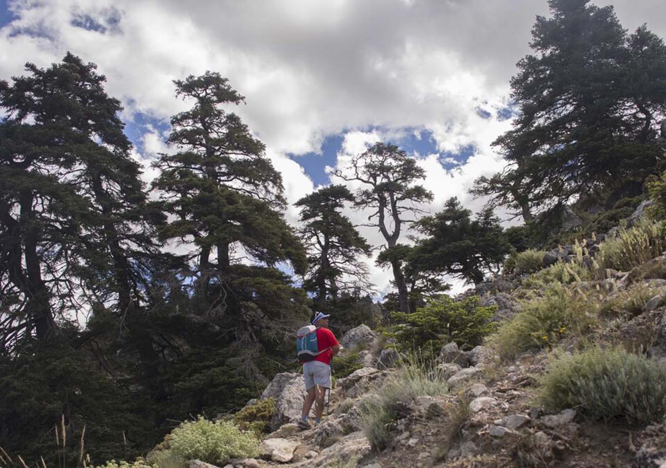 Aventúrate en la Naturaleza de Ronda: Rutas de Senderismo y Actividades al Aire Libre