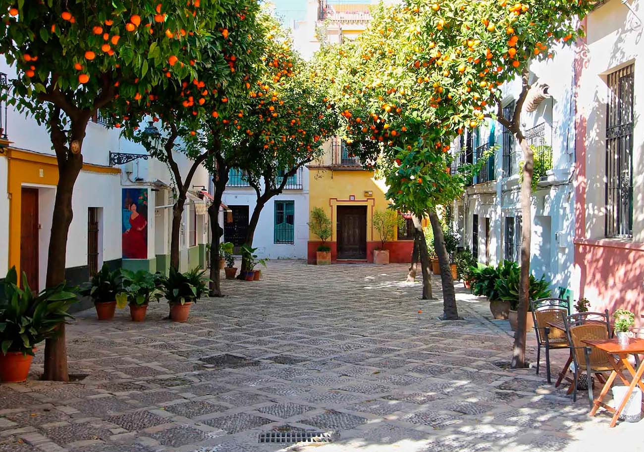 Cultura y Tradición en Sevilla: Explorando el Encanto de los Barrios Históricos