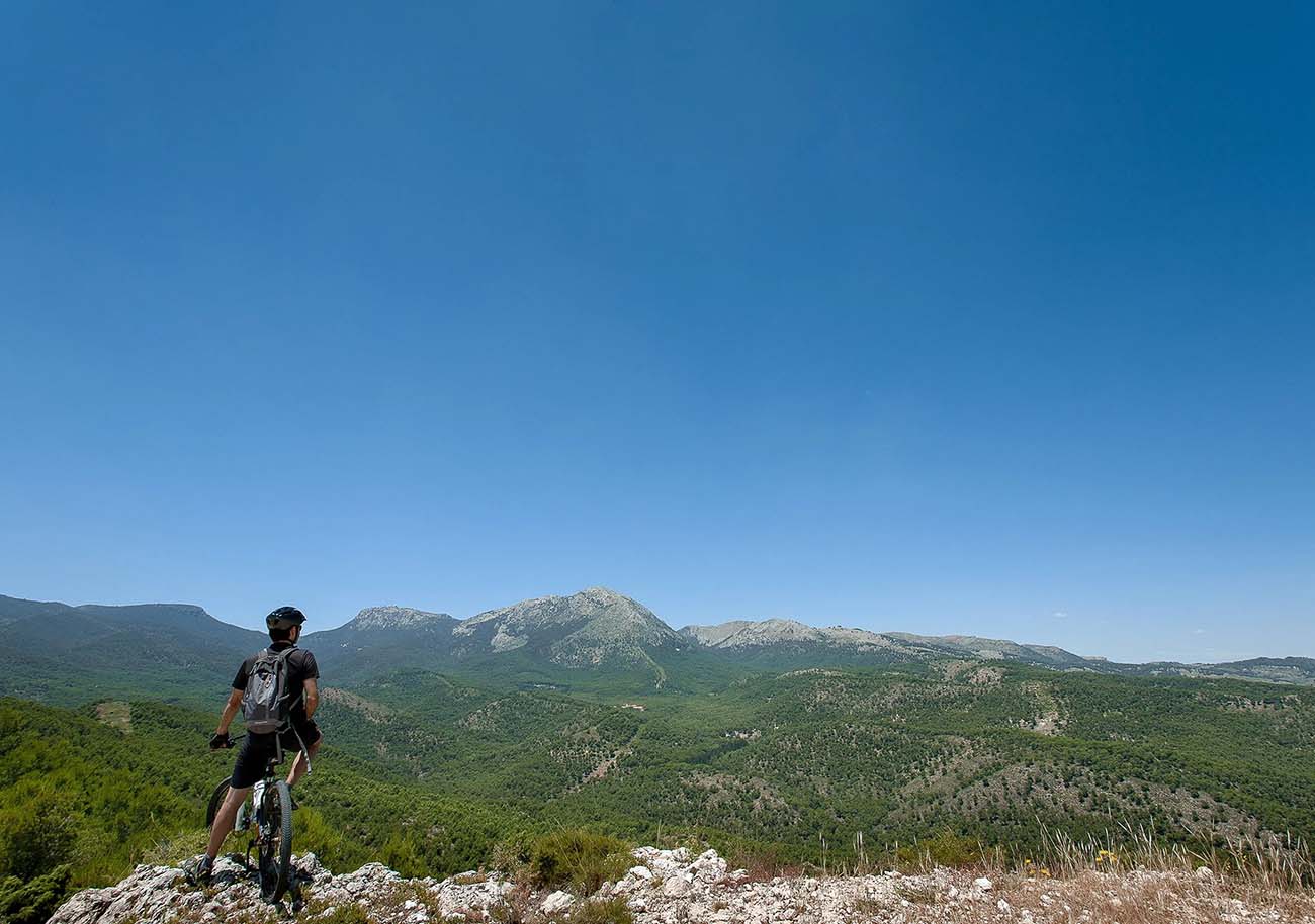 De la ciudad a la naturaleza: Mejores actividades al aire libre en Murcia